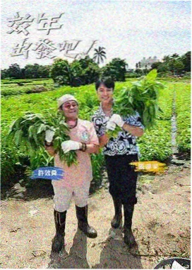 一起去露营吧户外综艺在线观看
